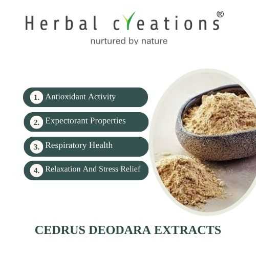 Cedrus Deodara Extracts Supplier